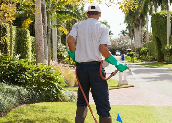 About Oakland MI Pest Control